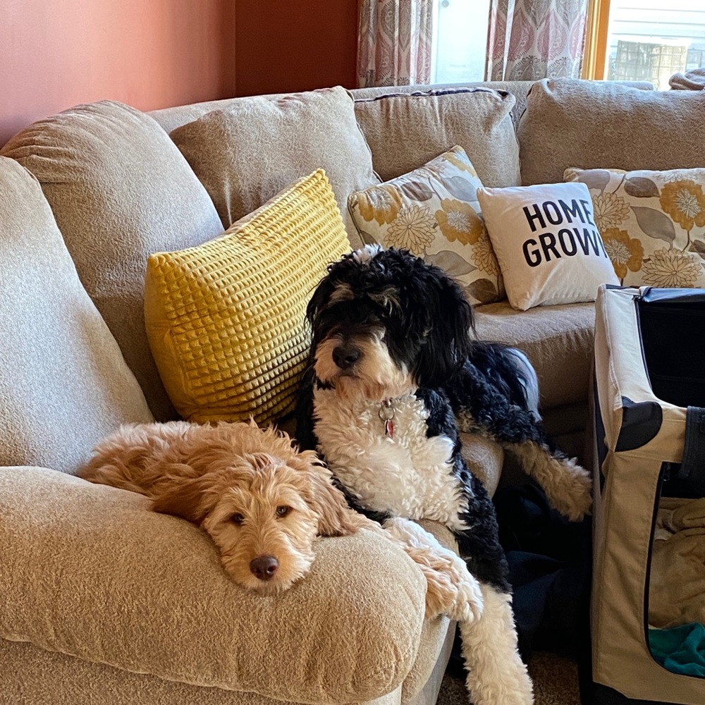 Meet your Posher, Caera